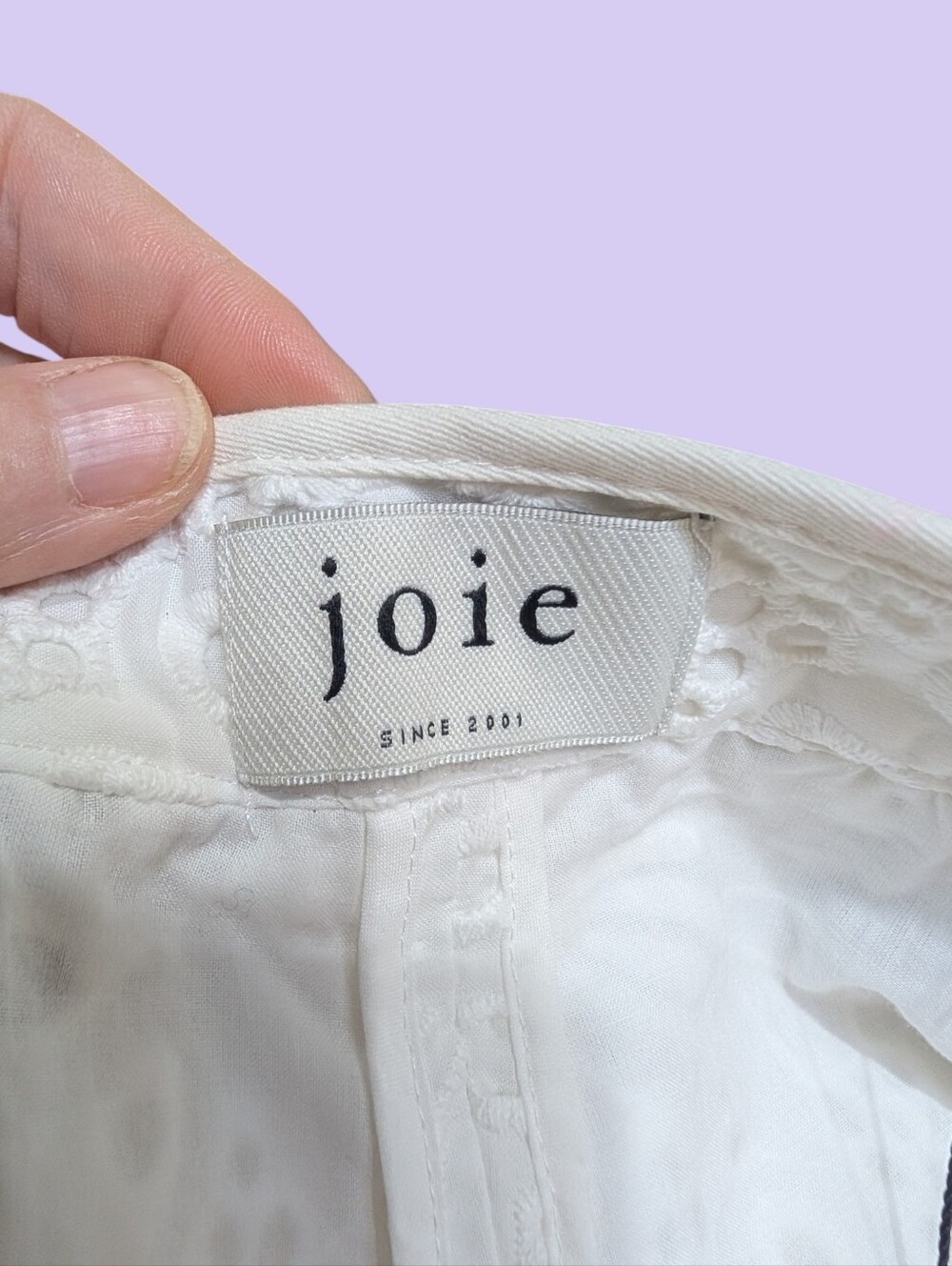 Joie Lawren Eyelet Shorts White Porcelain Floral Embroidered Cotton Size 12 NWT - Picture 5 of 10